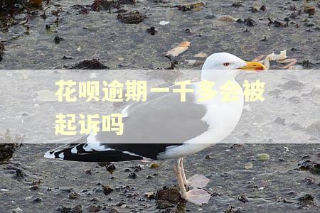 花呗逾期一千多会被起诉吗 花呗逾期一千多会被起诉吗