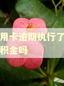 信用卡逾期执行了扣公积金吗 信用卡逾期执行了扣公积金吗