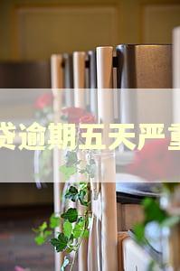 网贷逾期五天严重吗