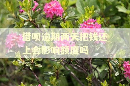 借呗逾期两天把钱还上会影响额度吗