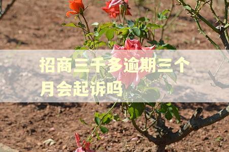 招商三千多逾期三个月会起诉吗