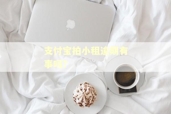 支付宝拍小租逾期有事吗?