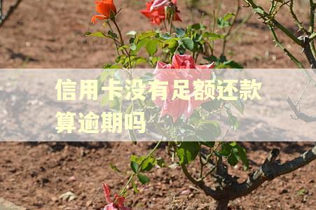 信用卡没有足额还款算逾期吗