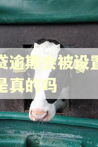 网贷逾期会被设置彩铃是真的吗