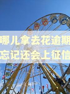去哪儿拿去花逾期几天忘记还会上征信吗