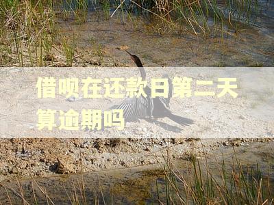 借呗在还款日第二天算逾期吗