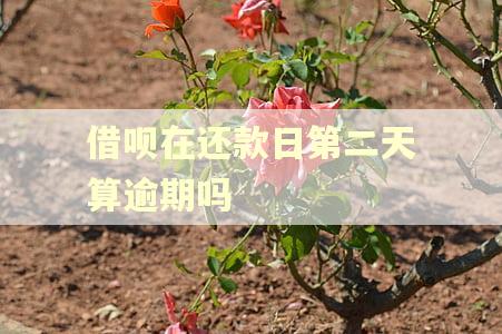 借呗在还款日第二天算逾期吗