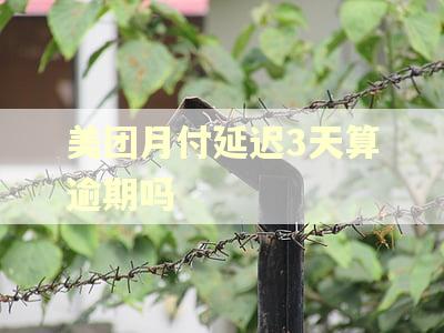 美团月付延迟3天算逾期吗 美团月付延迟3天算逾期吗