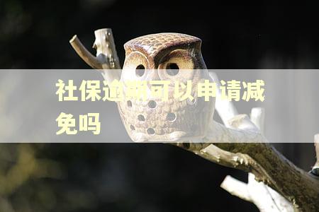 社保逾期可以申请减免吗