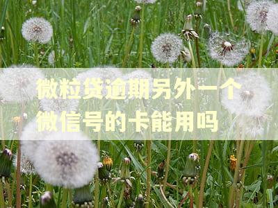 微粒贷逾期另外一个微信号的卡能用吗 微粒贷逾期另外一个微信号的卡能用吗