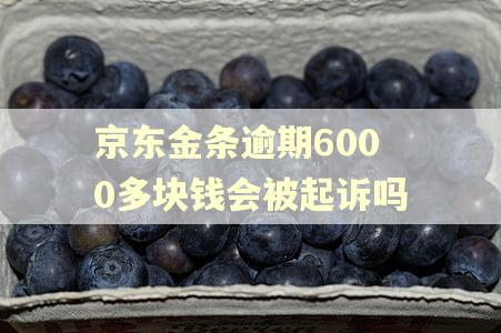 京东金条逾期6000多块钱会被起诉吗 京东金条逾期6000多块钱会被起诉吗