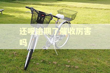 还呗逾期了催收厉害吗