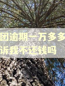 美团逾期一万多多会起诉我不还钱吗