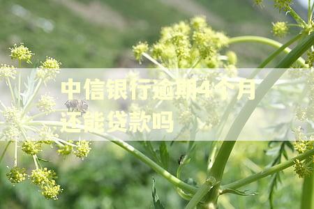 中信银行逾期4个月还能贷款吗