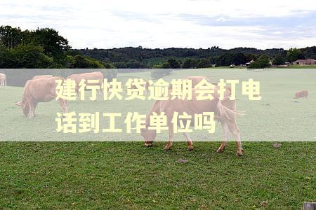 建行快贷逾期会打电话到工作单位吗