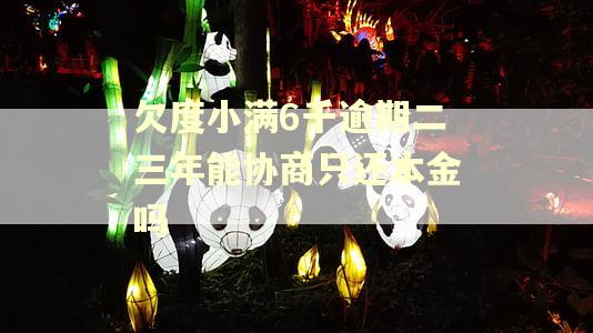 欠度小满6千逾期二三年能协商只还本金吗