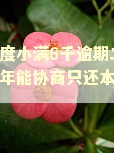 欠度小满6千逾期二三年能协商只还本金吗