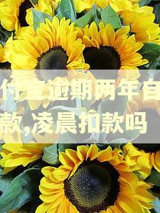 支付宝逾期两年自动扣款,凌晨扣款吗