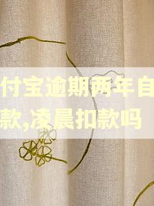 支付宝逾期两年自动扣款,凌晨扣款吗
