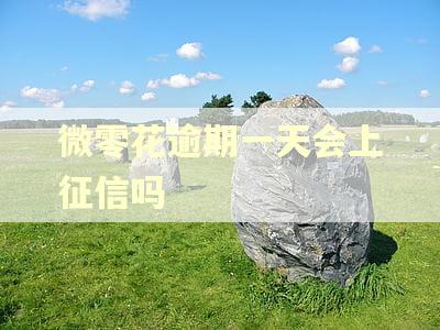 微零花逾期一天会上征信吗