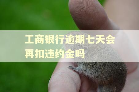 工商银行逾期七天会再扣违约金吗