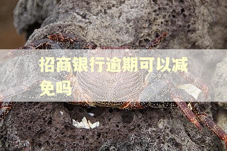 招商银行逾期可以减免吗