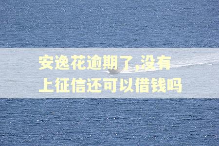 安逸花逾期了,没有上征信还可以借钱吗