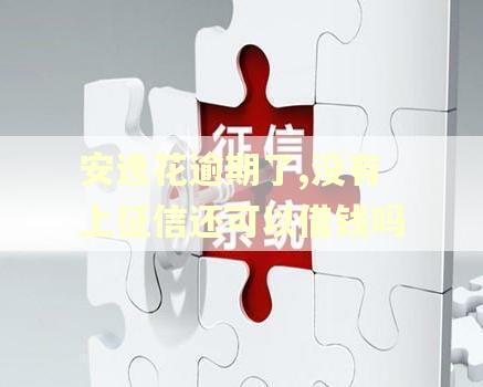 安逸花逾期了,没有上征信还可以借钱吗