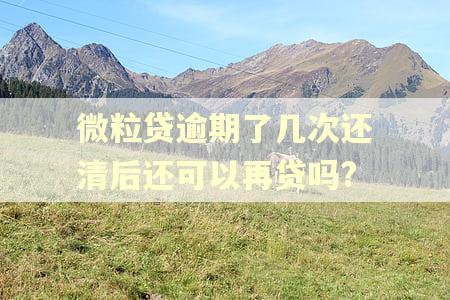微粒贷逾期了几次还清后还可以再贷吗? 微粒贷逾期了几次还清后还可以再贷吗?