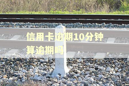 信用卡逾期10分钟算逾期吗
