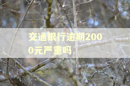 交通银行逾期2000元严重吗 交通银行逾期2000元严重吗