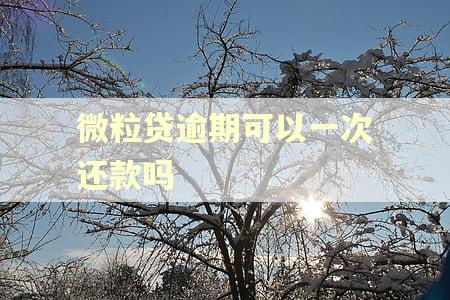 微粒贷逾期可以一次还款吗