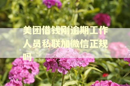 美团借钱刚逾期工作人员私联加微信正规吗