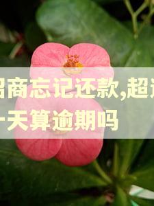 招商忘记还款,超过十天算逾期吗 招商忘记还款,超过十天算逾期吗