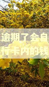 花呗逾期了会自动扣款银行卡内的钱吗
