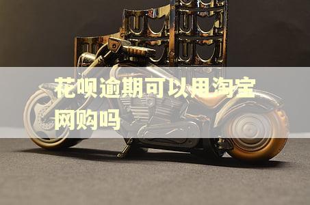 花呗逾期可以用淘宝网购吗