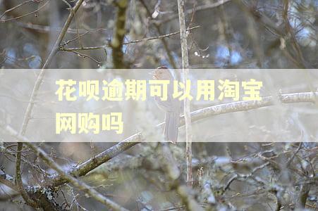 花呗逾期可以用淘宝网购吗
