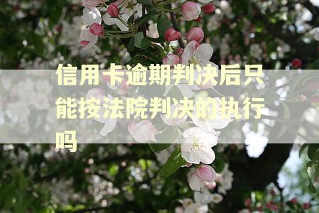 信用卡逾期判决后只能按法院判决的执行吗