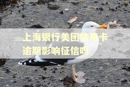 上海银行美团信用卡逾期影响征信吗
