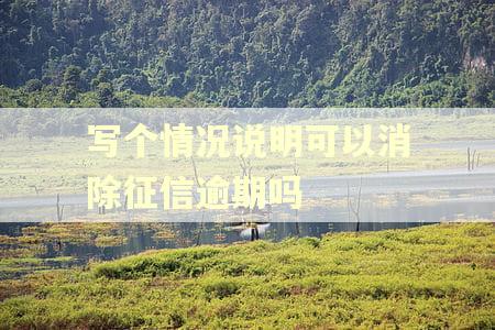 写个情况说明可以消除征信逾期吗