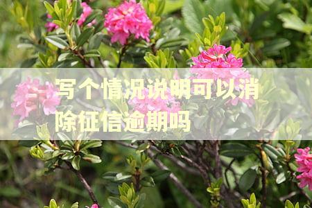 写个情况说明可以消除征信逾期吗 写个情况说明可以消除征信逾期吗