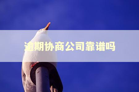 逾期协商公司靠谱吗
