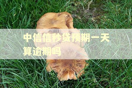 中信信秒贷预期一天算逾期吗