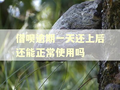 借呗逾期一天还上后还能正常使用吗