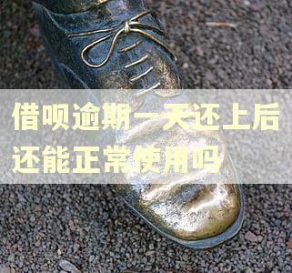 借呗逾期一天还上后还能正常使用吗