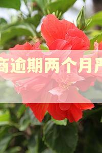 工商逾期两个月严重吗