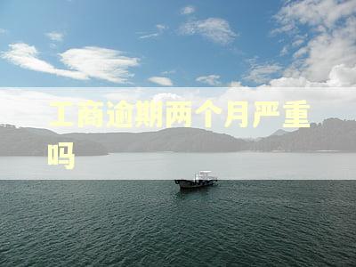 工商逾期两个月严重吗