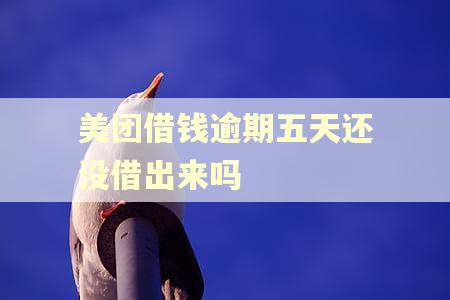 美团借钱逾期五天还没借出来吗