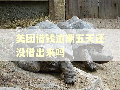 美团借钱逾期五天还没借出来吗 美团借钱逾期五天还没借出来吗