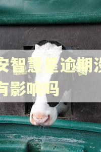 平安智慧星逾期没交费有影响吗